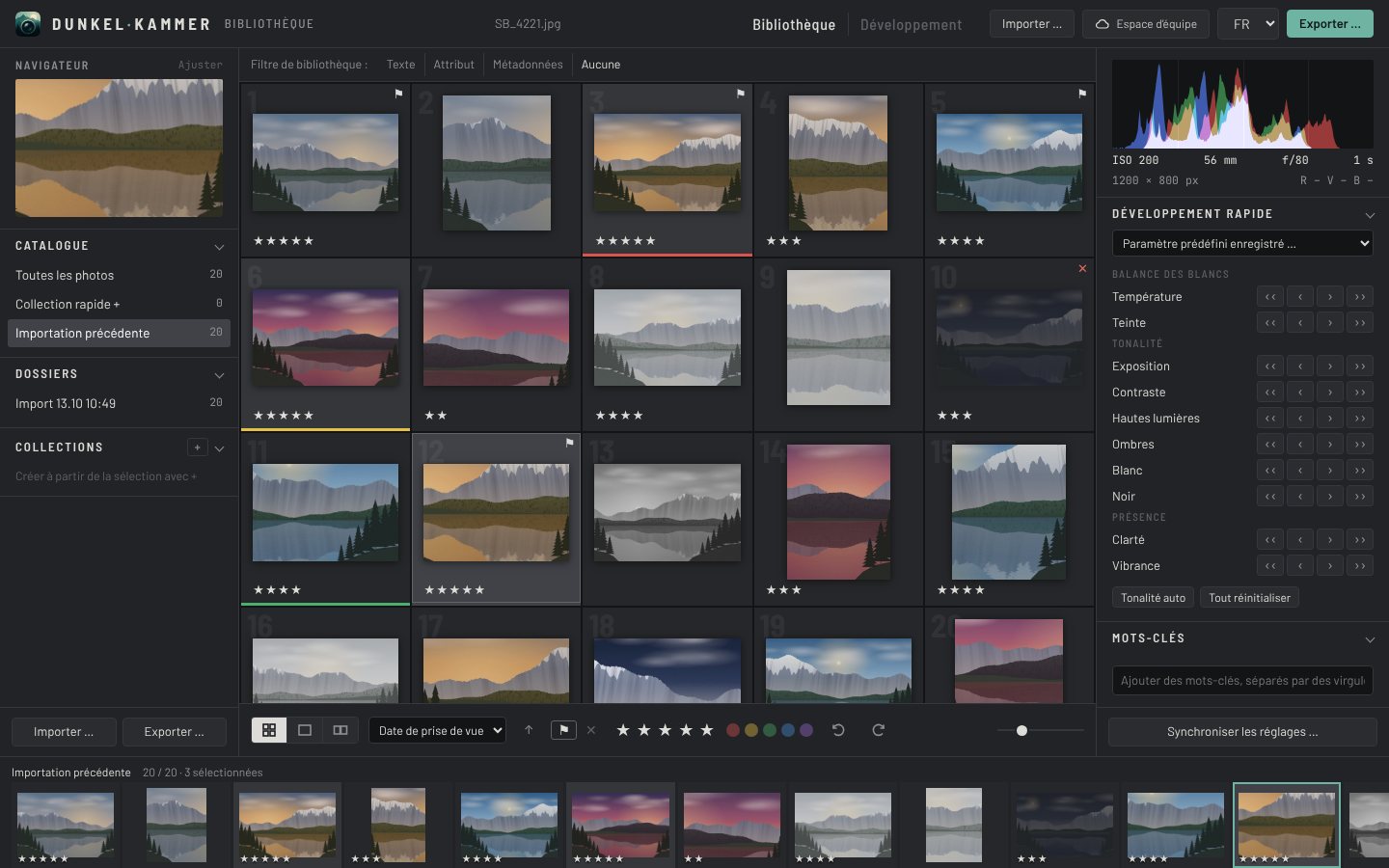 Dunkelkammer, bibliothèque : grille de photos de lacs de montagne avec étoiles, libellés de couleur, barre de filtres, développement rapide et film fixe